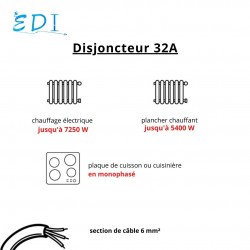 Legrand - Disjoncteur Dnx3 C32 vis