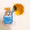 SHELLY - Micromodule Contact Sec Shelly Qubino ZWave Plus 800
